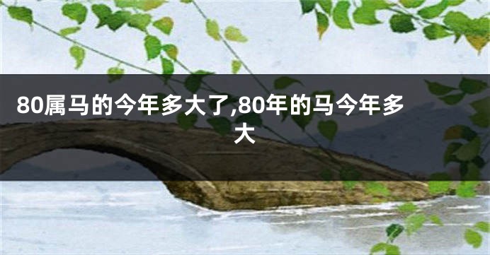 80属马的今年多大了,80年的马今年多大