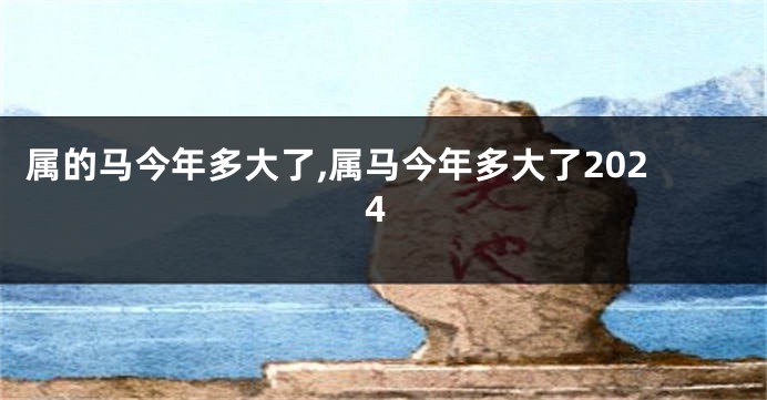 属的马今年多大了,属马今年多大了2024