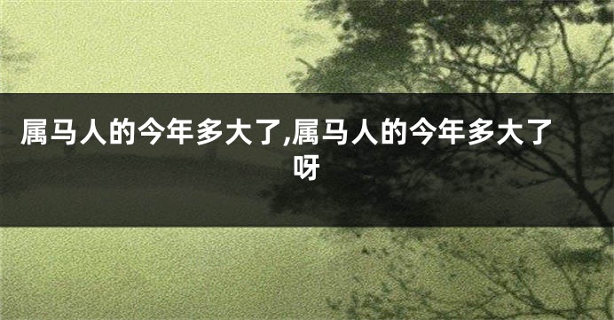 属马人的今年多大了,属马人的今年多大了呀