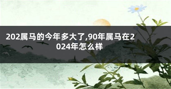 202属马的今年多大了,90年属马在2024年怎么样