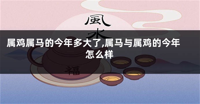 属鸡属马的今年多大了,属马与属鸡的今年怎么样