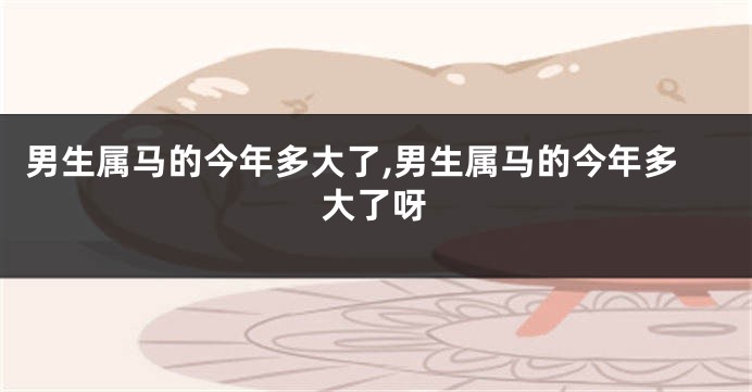 男生属马的今年多大了,男生属马的今年多大了呀