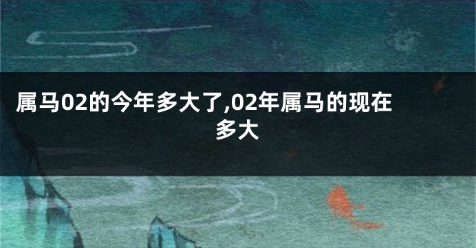 属马02的今年多大了,02年属马的现在多大