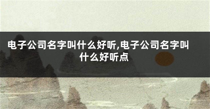 电子公司名字叫什么好听,电子公司名字叫什么好听点