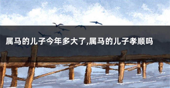 属马的儿子今年多大了,属马的儿子孝顺吗