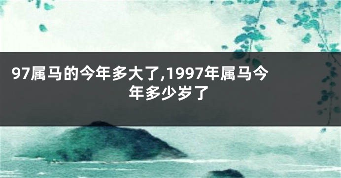 97属马的今年多大了,1997年属马今年多少岁了