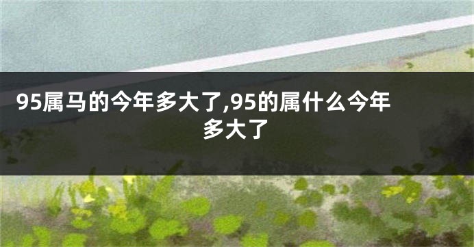 95属马的今年多大了,95的属什么今年多大了