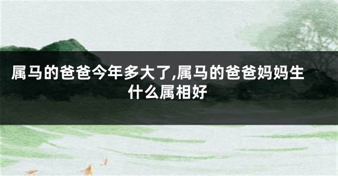 属马的爸爸今年多大了,属马的爸爸妈妈生什么属相好