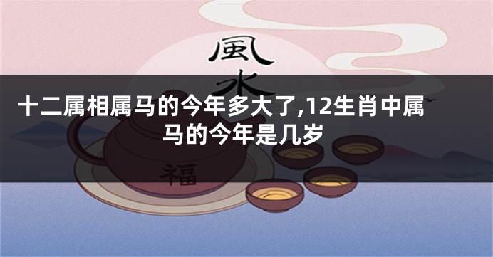 十二属相属马的今年多大了,12生肖中属马的今年是几岁