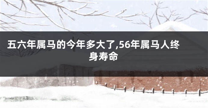 五六年属马的今年多大了,56年属马人终身寿命