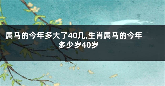 属马的今年多大了40几,生肖属马的今年多少岁40岁