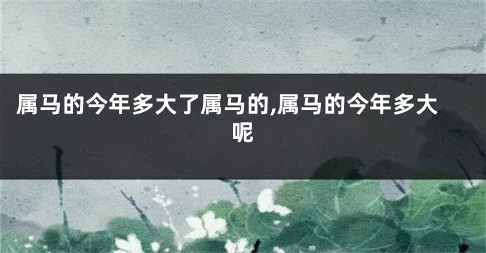 属马的今年多大了属马的,属马的今年多大呢