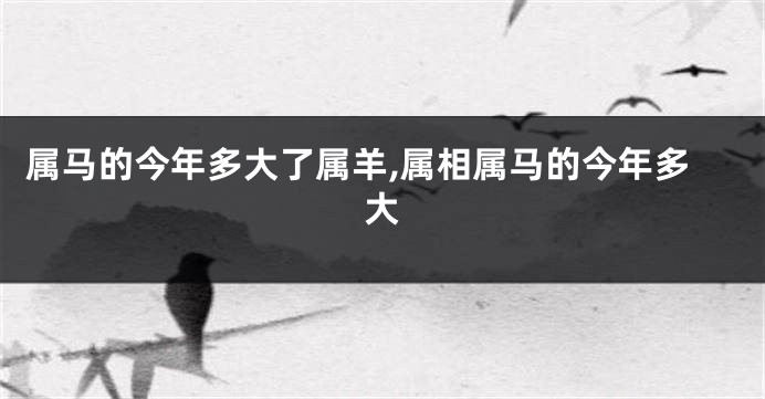 属马的今年多大了属羊,属相属马的今年多大