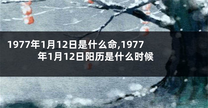 1977年1月12日是什么命,1977年1月12日阳历是什么时候