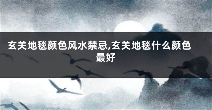 玄关地毯颜色风水禁忌,玄关地毯什么颜色最好