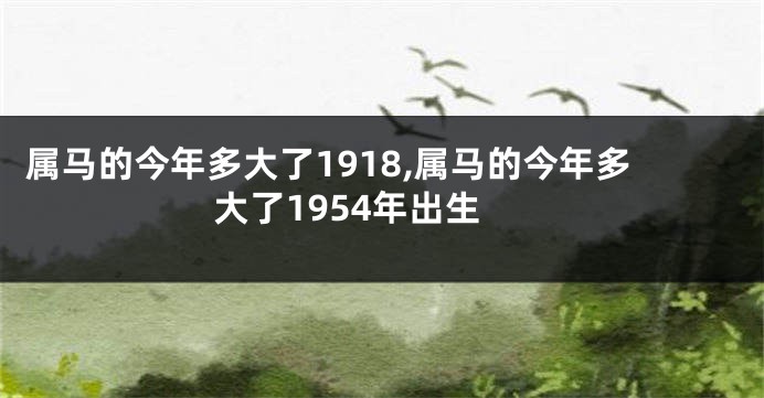 属马的今年多大了1918,属马的今年多大了1954年出生