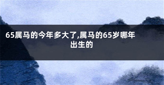 65属马的今年多大了,属马的65岁哪年出生的