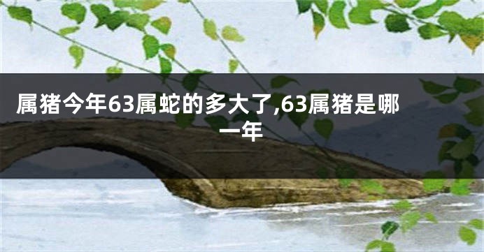 属猪今年63属蛇的多大了,63属猪是哪一年