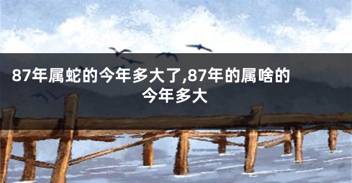 87年属蛇的今年多大了,87年的属啥的今年多大