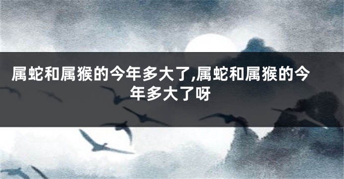 属蛇和属猴的今年多大了,属蛇和属猴的今年多大了呀