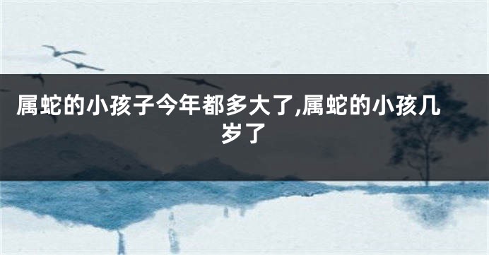 属蛇的小孩子今年都多大了,属蛇的小孩几岁了