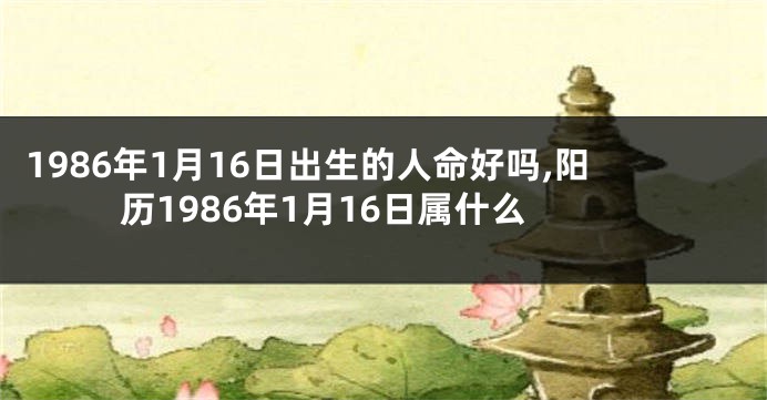 1986年1月16日出生的人命好吗,阳历1986年1月16日属什么