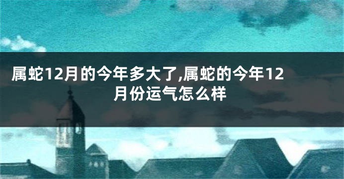 属蛇12月的今年多大了,属蛇的今年12月份运气怎么样