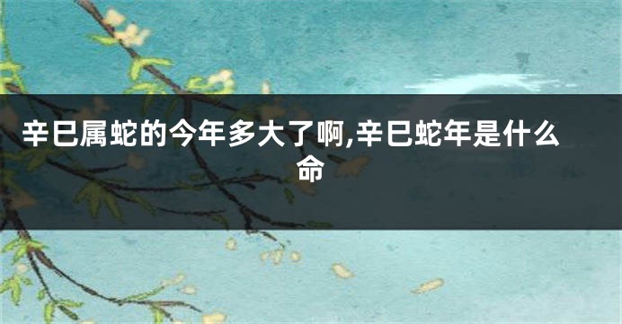 辛巳属蛇的今年多大了啊,辛巳蛇年是什么命