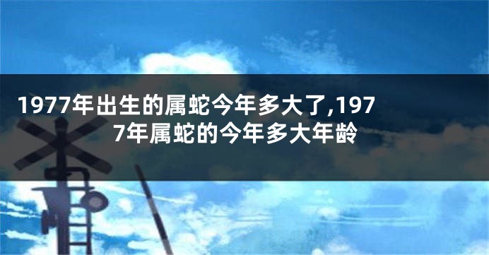 1977年出生的属蛇今年多大了,1977年属蛇的今年多大年龄
