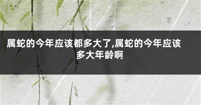 属蛇的今年应该都多大了,属蛇的今年应该多大年龄啊