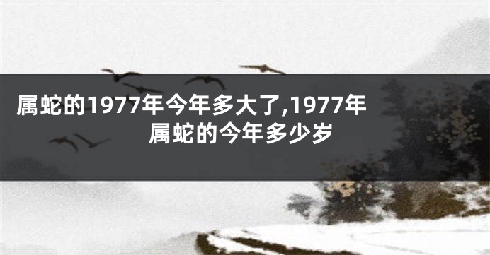 属蛇的1977年今年多大了,1977年属蛇的今年多少岁