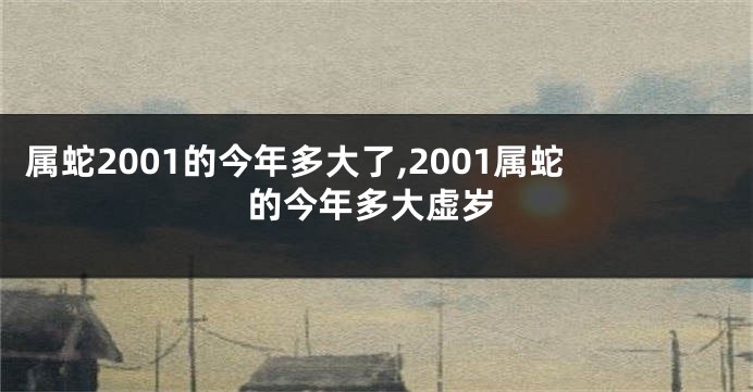 属蛇2001的今年多大了,2001属蛇的今年多大虚岁