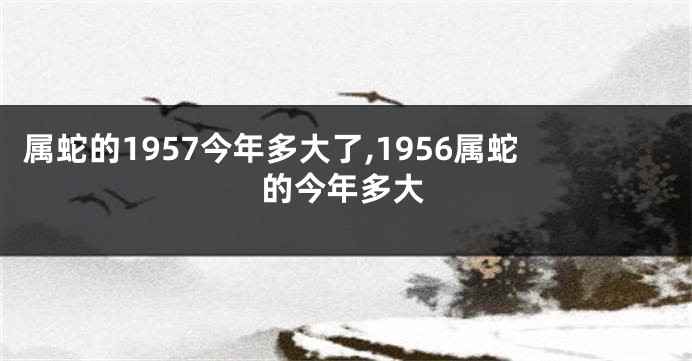 属蛇的1957今年多大了,1956属蛇的今年多大