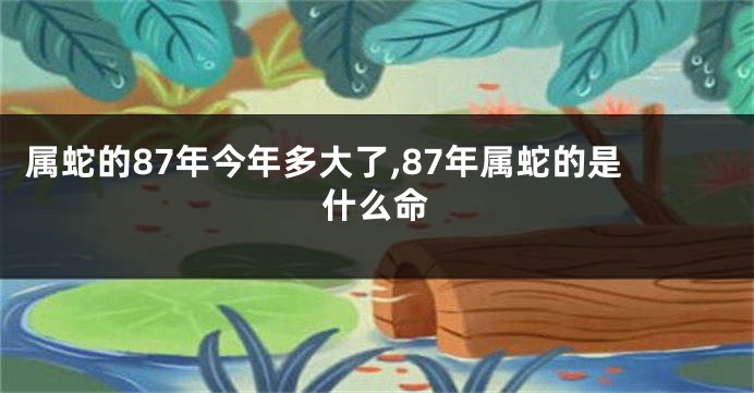 属蛇的87年今年多大了,87年属蛇的是什么命