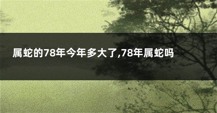 属蛇的78年今年多大了,78年属蛇吗