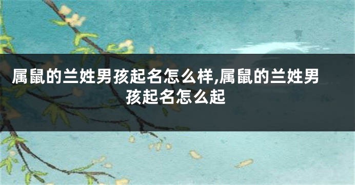 属鼠的兰姓男孩起名怎么样,属鼠的兰姓男孩起名怎么起