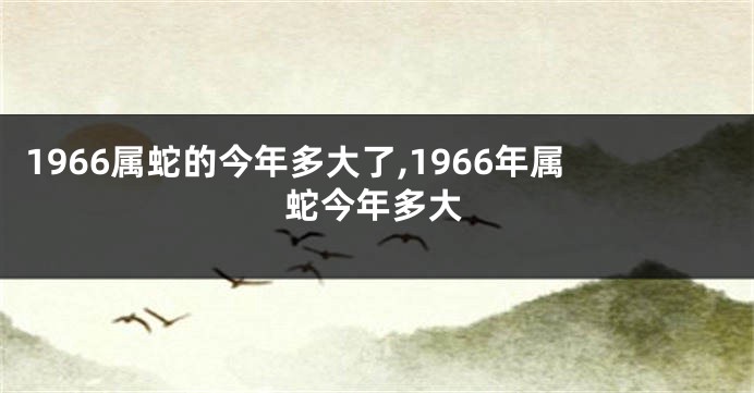 1966属蛇的今年多大了,1966年属蛇今年多大