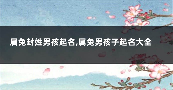 属兔封姓男孩起名,属兔男孩子起名大全
