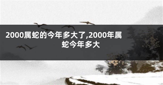 2000属蛇的今年多大了,2000年属蛇今年多大