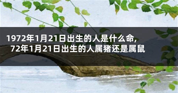 1972年1月21日出生的人是什么命,72年1月21日出生的人属猪还是属鼠