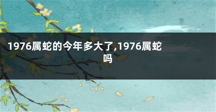 1976属蛇的今年多大了,1976属蛇吗