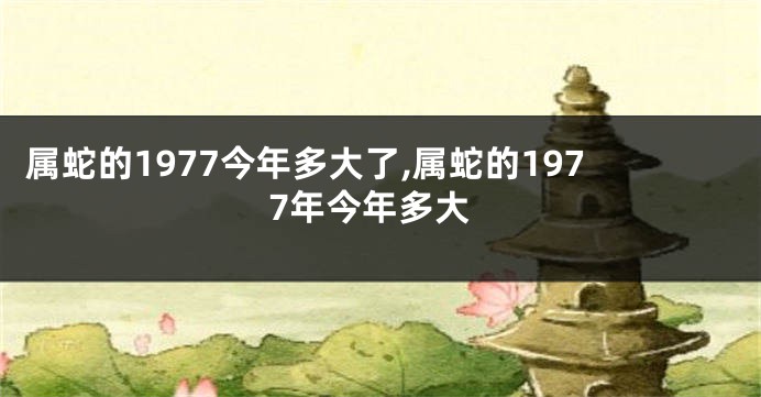 属蛇的1977今年多大了,属蛇的1977年今年多大