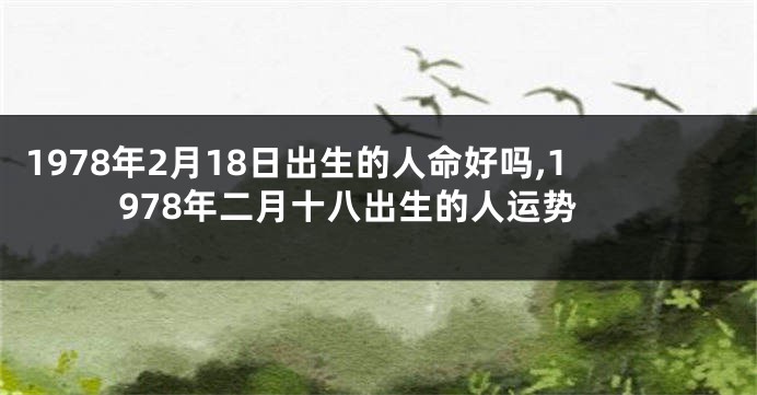 1978年2月18日出生的人命好吗,1978年二月十八出生的人运势