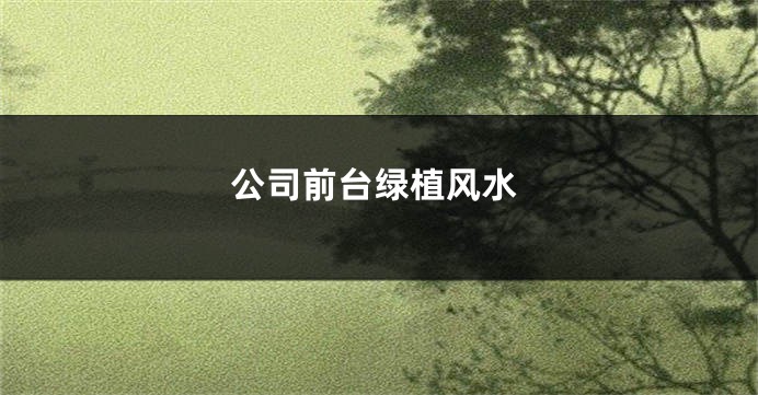 公司前台绿植风水