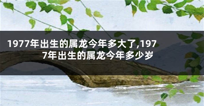 1977年出生的属龙今年多大了,1977年出生的属龙今年多少岁