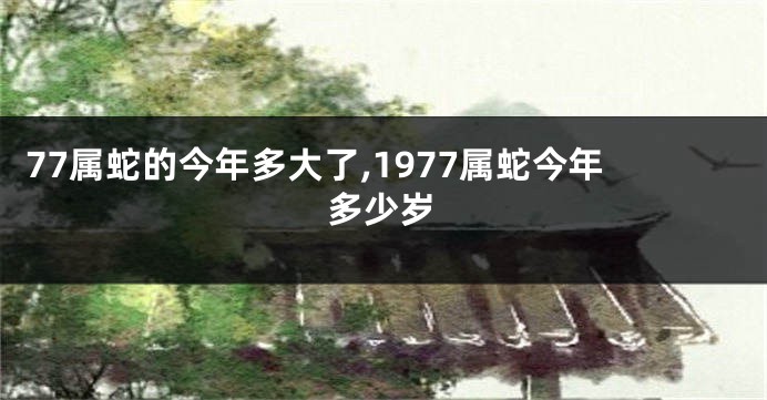 77属蛇的今年多大了,1977属蛇今年多少岁