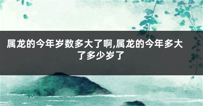 属龙的今年岁数多大了啊,属龙的今年多大了多少岁了