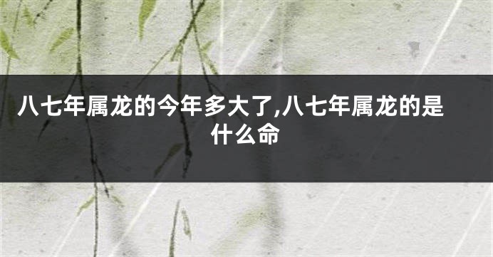 八七年属龙的今年多大了,八七年属龙的是什么命