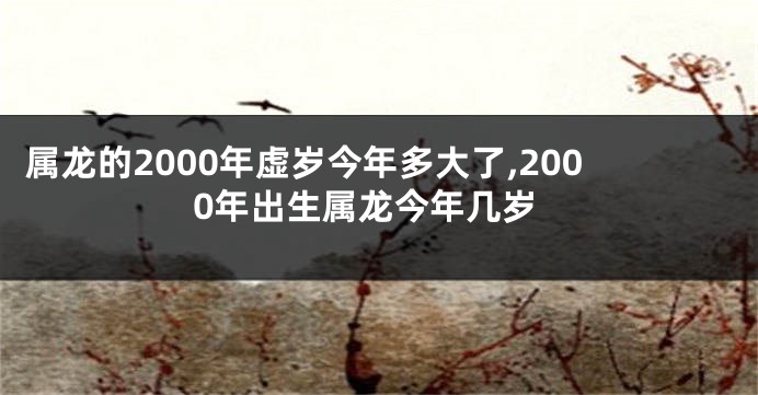 属龙的2000年虚岁今年多大了,2000年出生属龙今年几岁
