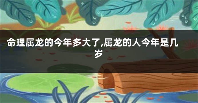 命理属龙的今年多大了,属龙的人今年是几岁